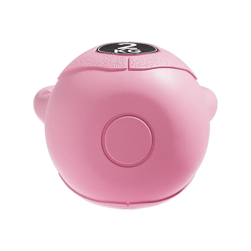Home Kettle-bell Weight
