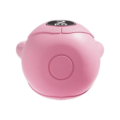 Home Kettle-bell Weight